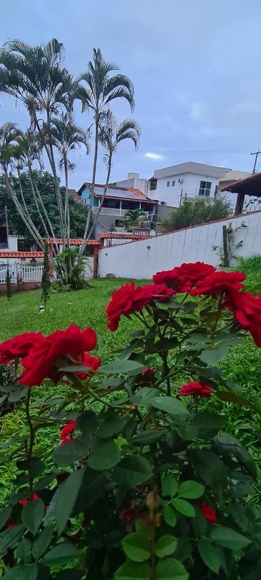 Red Rose Hotell Cabo Frio Exteriör bild